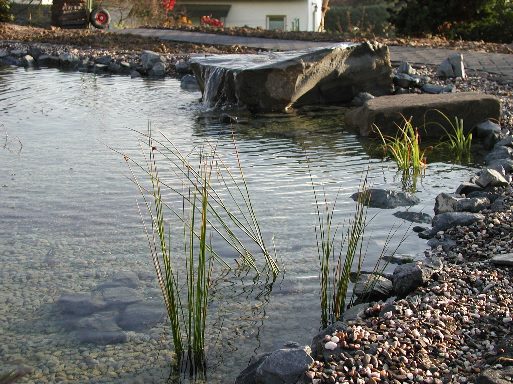 Images/Schwimmteich vom Oktober 2001.jpg